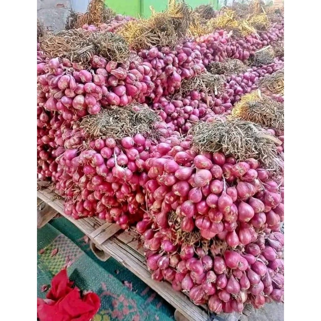 

bawang merah super segar 1kg