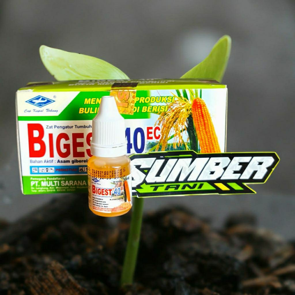 Bigest 40EC 10ml GA3 ZPT Pembesar Buah Bobot Anakan Padi Buah Buahan