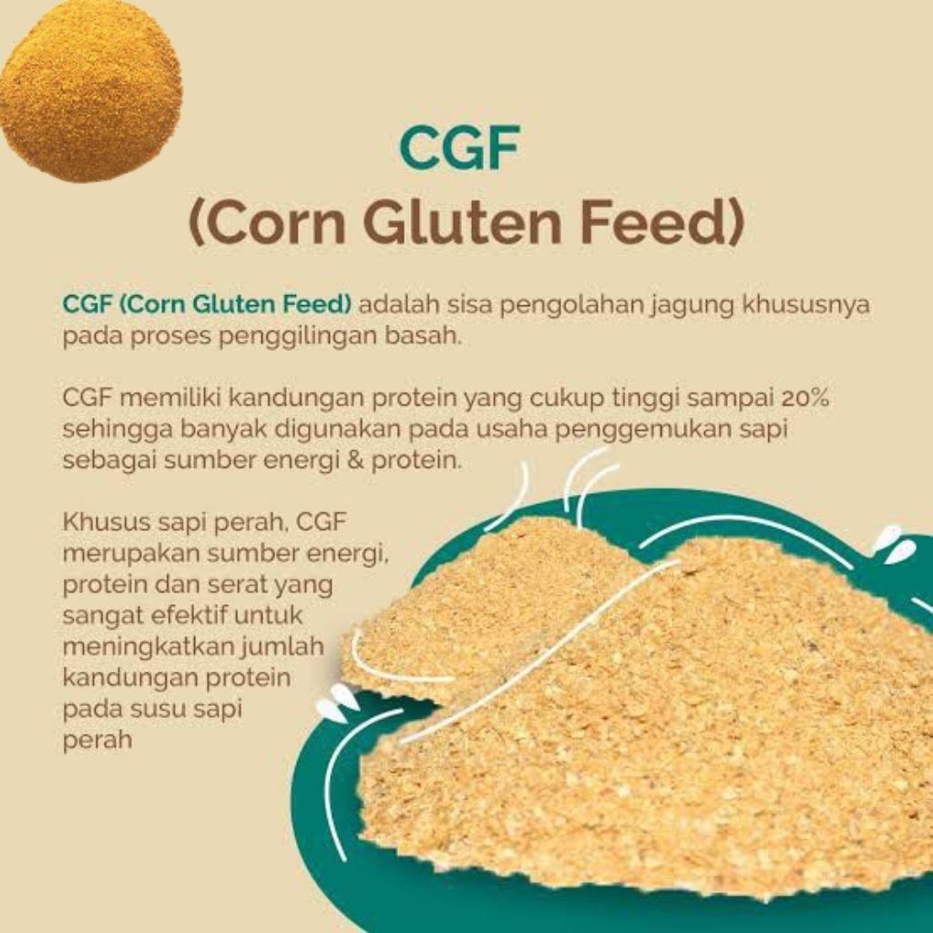 CGF,Corn Gluten Feed 25Kg/Pakan Ternak /Penggemuk Ternak