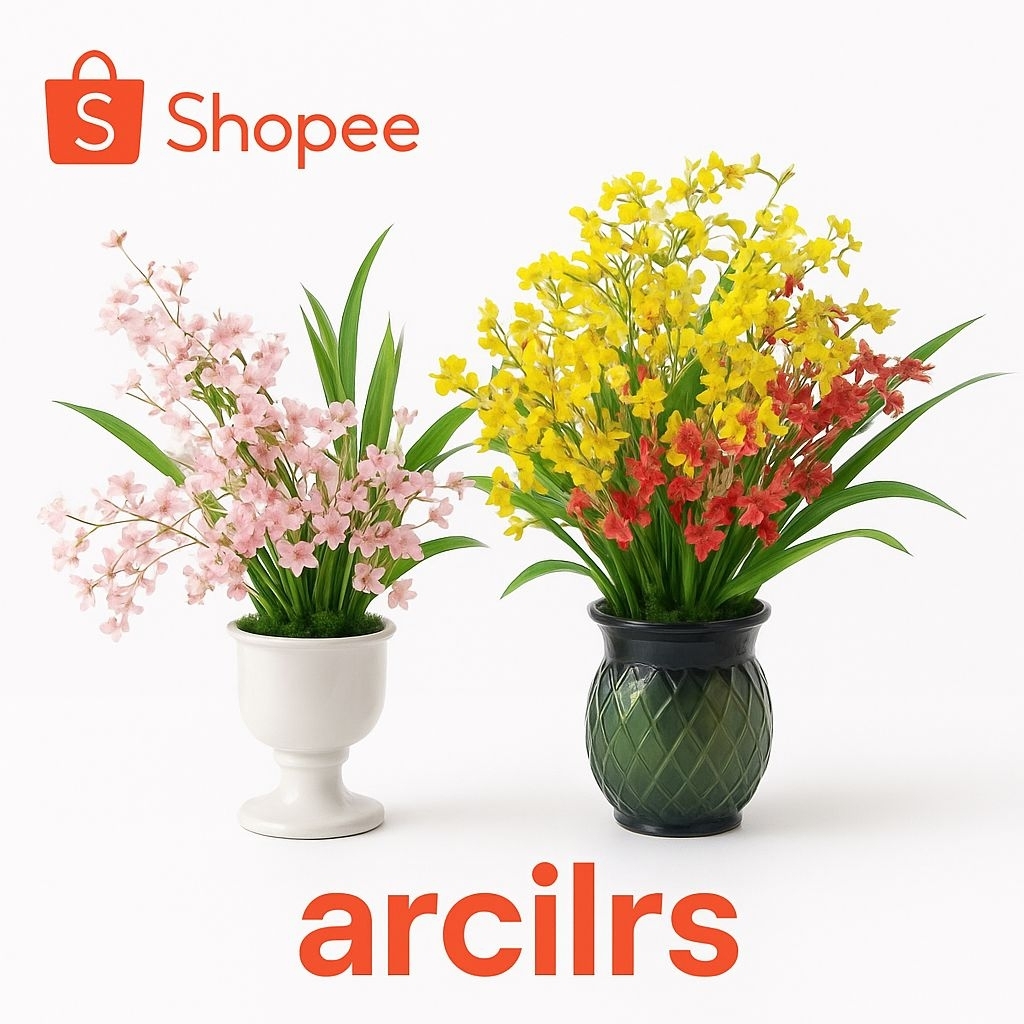 ( BISA COD ) Tanaman Hias Anggrek Cymbidium Parfume Asli | Tanaman Hias Media Air