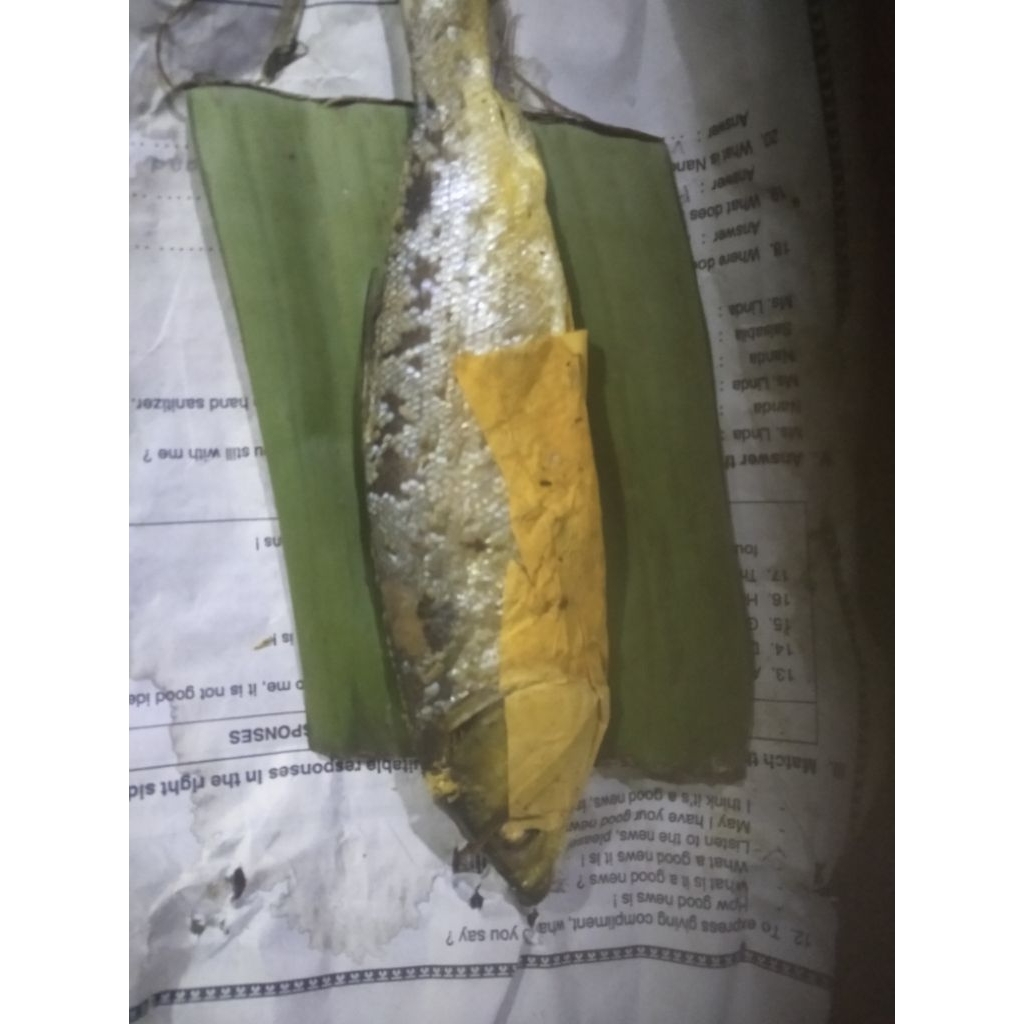 

1 bngks ikan pindang bandeng