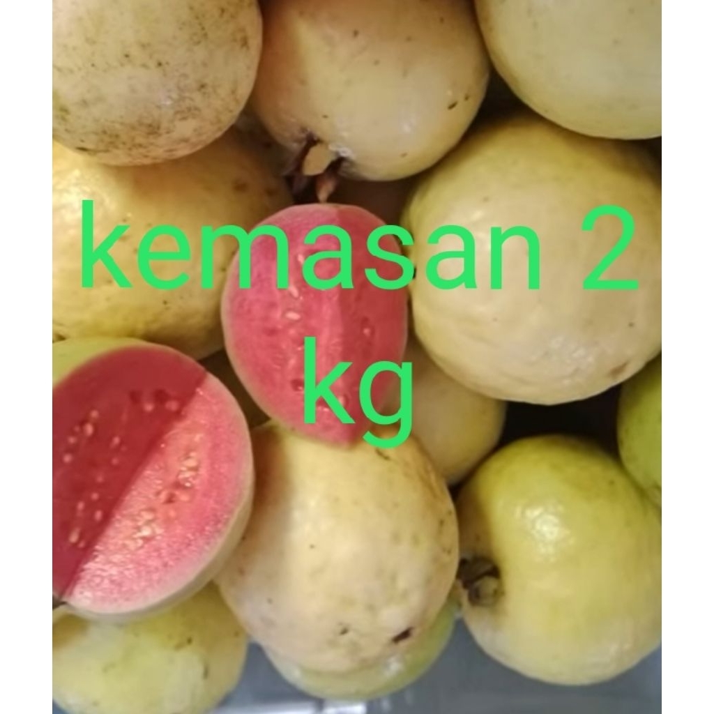 

jambu merah juz kemasan 2 kg
