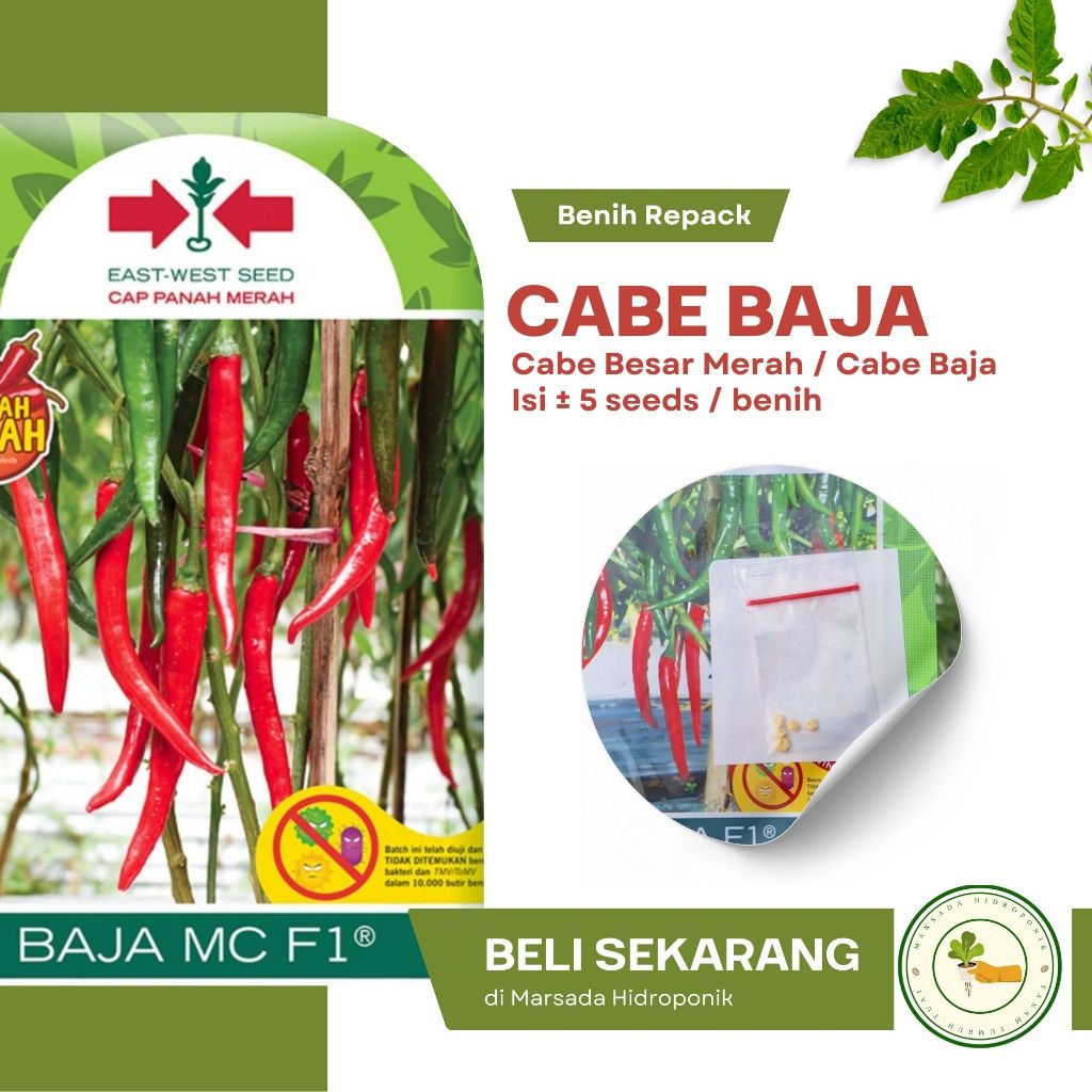 Benih Bibit Cabe Merah Besar / Cabe Baja Cap Panah Merah Kemasan Repack isi 5 Seeds