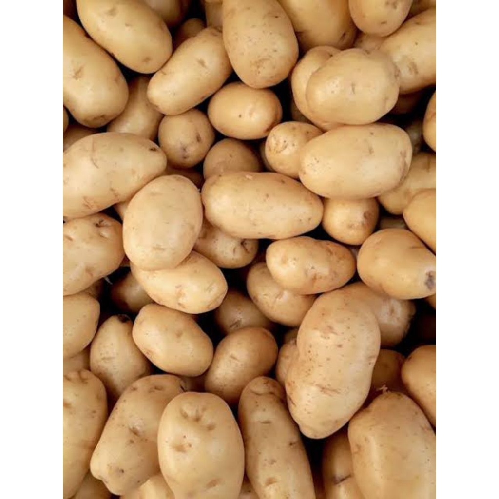 

ronanaplant kentang FRESH 250gr