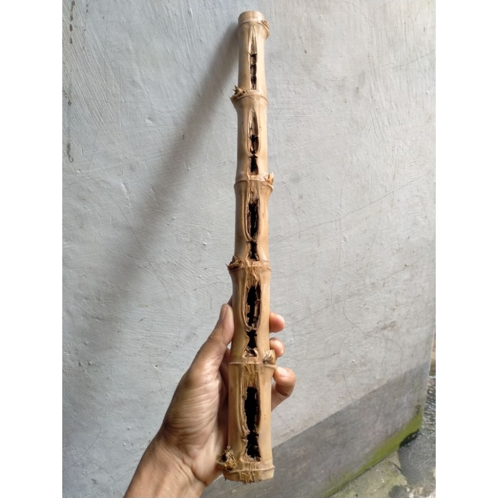 BAMBU UNIK COMBONG 5 SAP/TONGSER/RUAS PENDEK/COMBONG (42 CM) ORI