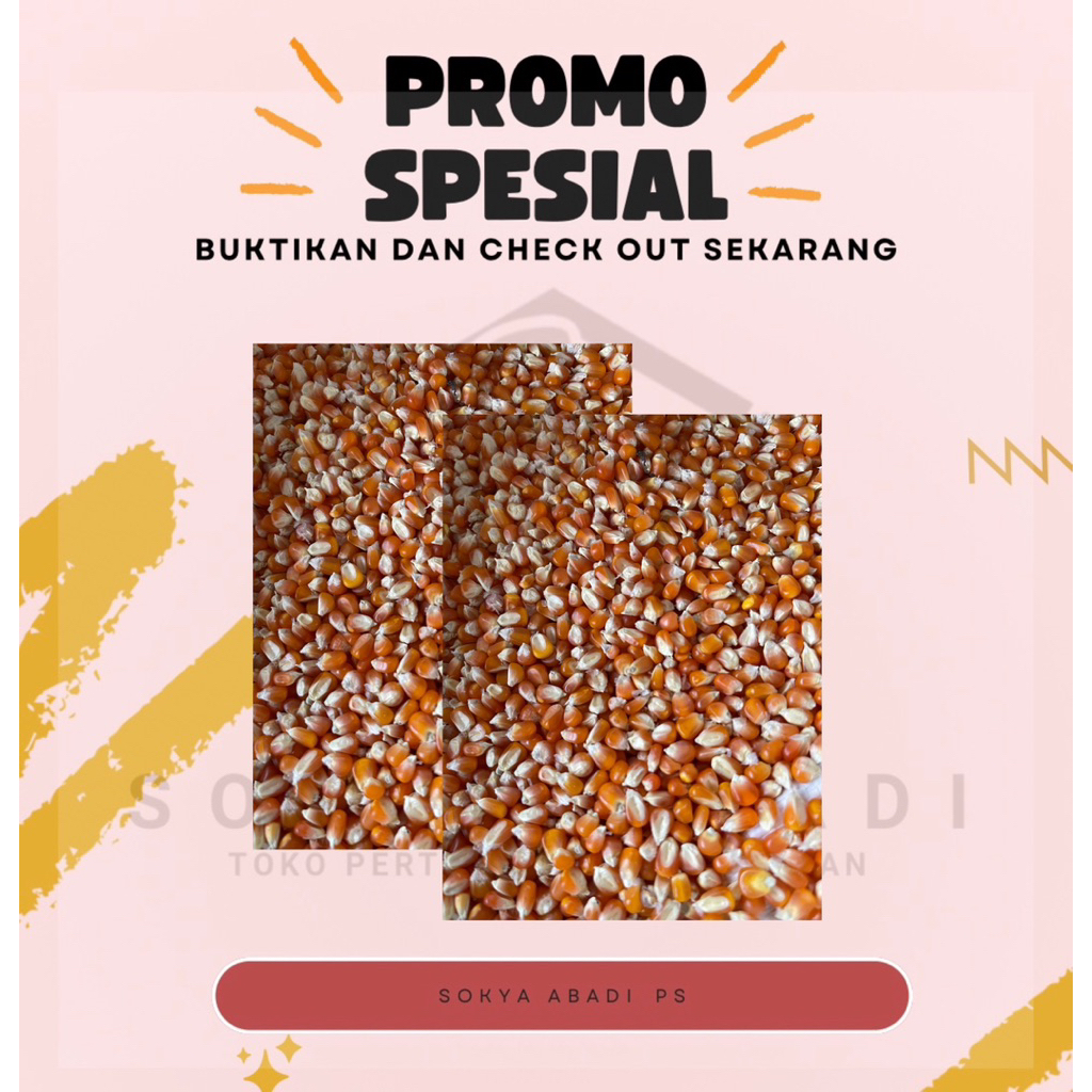 jagung kecil super , jagung kristal/jagung merpati 1kg