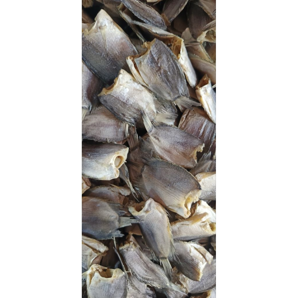

Ikan Asin Biawan Kering Asli – Gurih, Renyah, Tahan Lama, Cocok Untuk Lauk & Oleh-oleh
