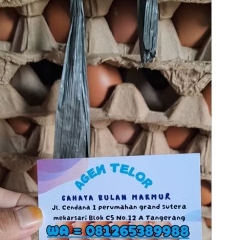 

CBM - TELOR AYAM PREMIUM Isi 30 butir