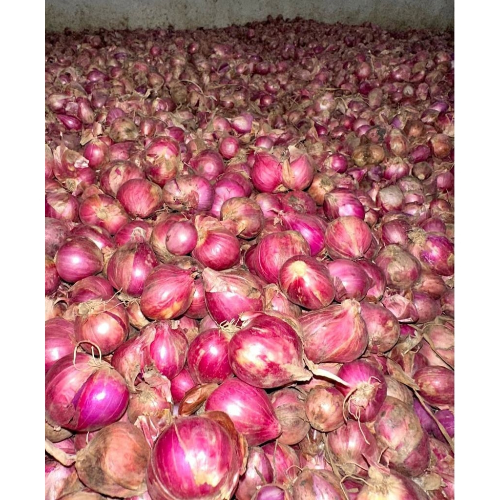 

bawang merah lokalan 250g