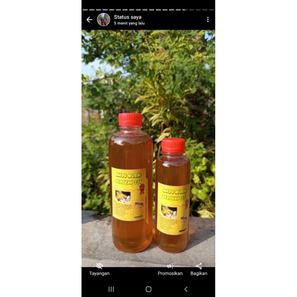 

madu kayu putih 500ml