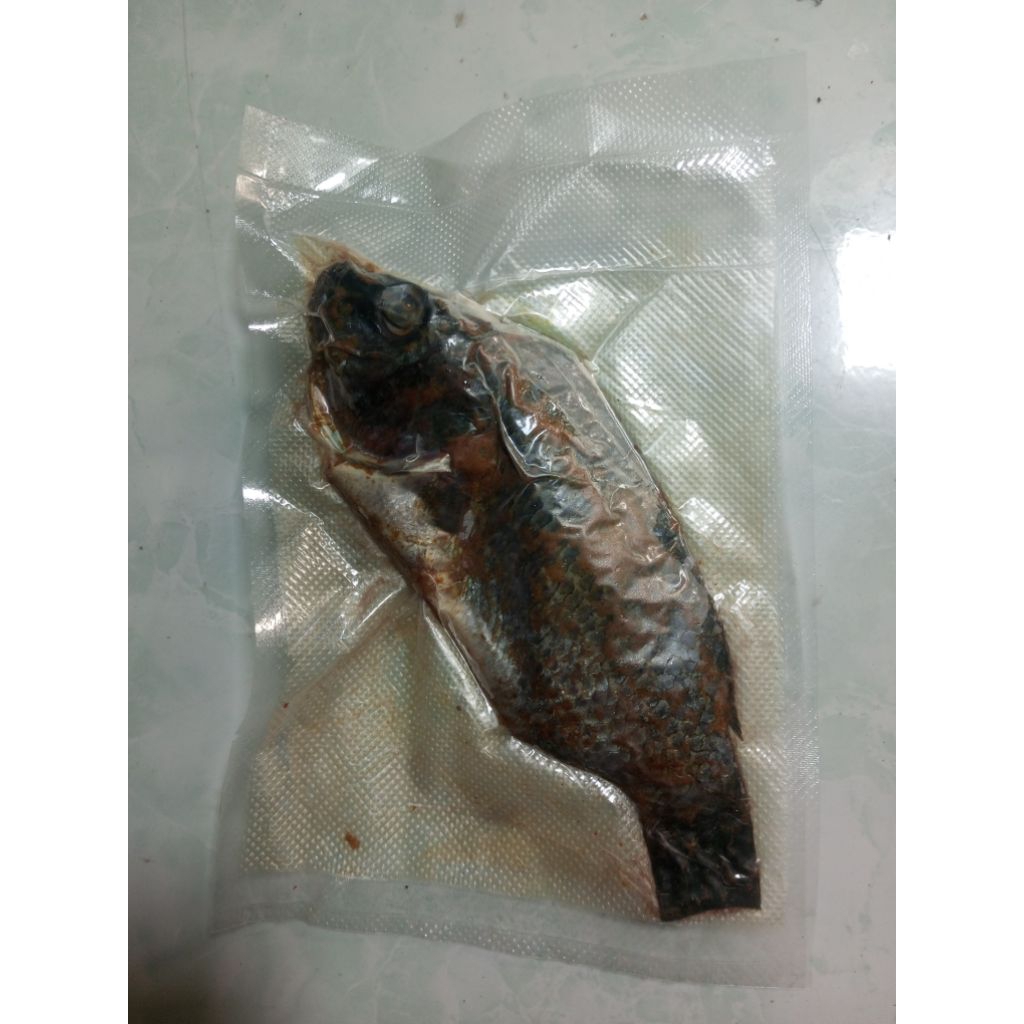 

ikan nila marinasi siap goreng atau panggang ikan nila segar ikan goreng ikan pangggang ikan beku ikan fresh food simpel