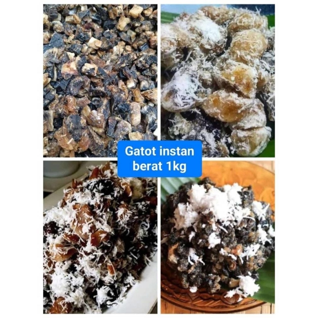 

GATOT SINGKONG asli khas pegunungan empuk menul