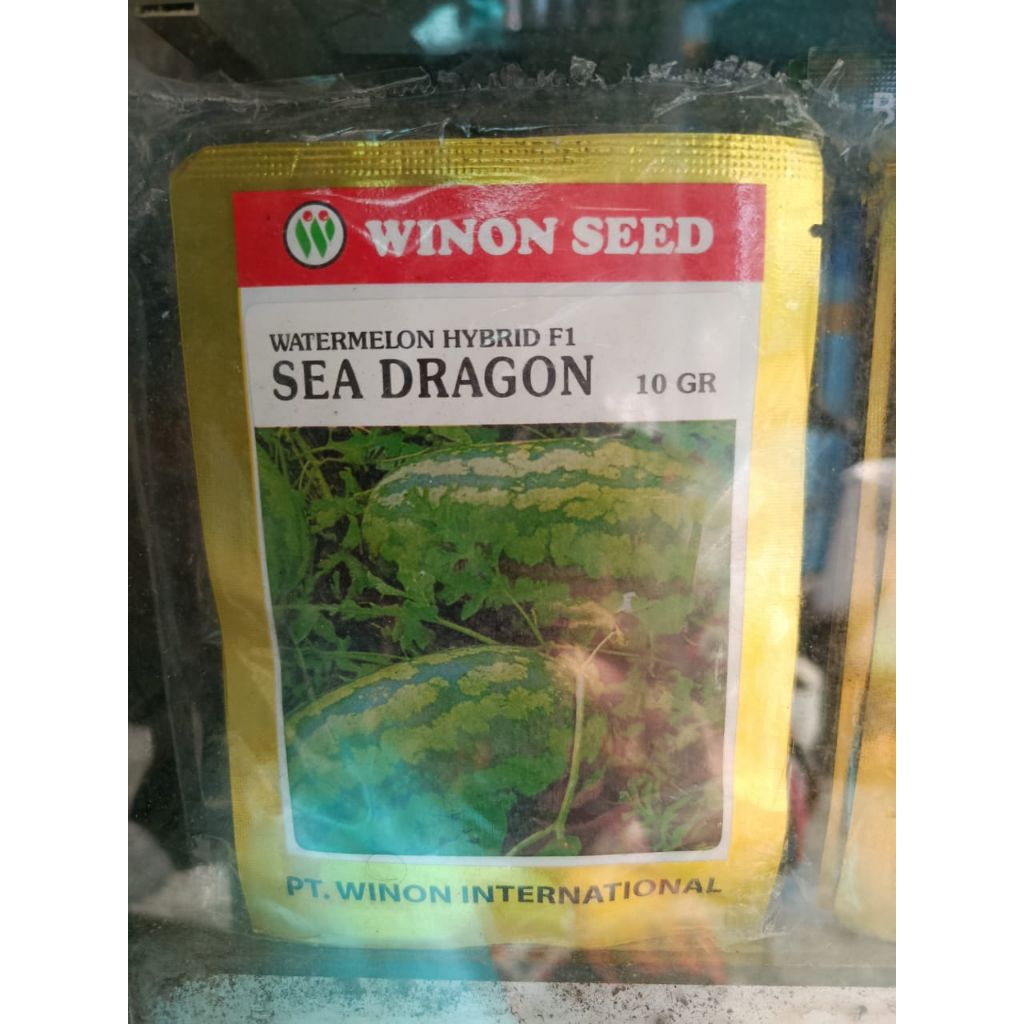 Benih Semangka SEA DRAGON 10 GR