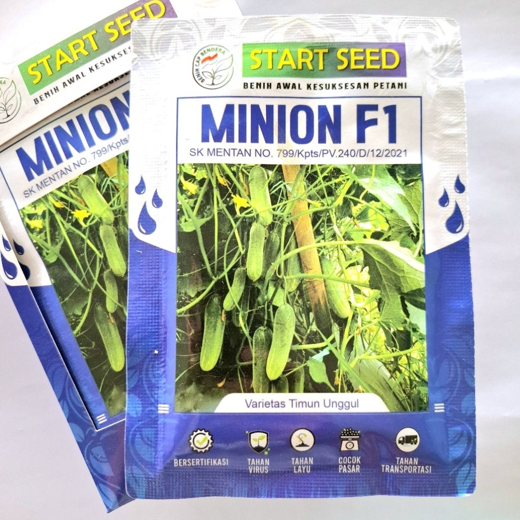 Benih timun baby MINION F1 20gram, Start Seed
