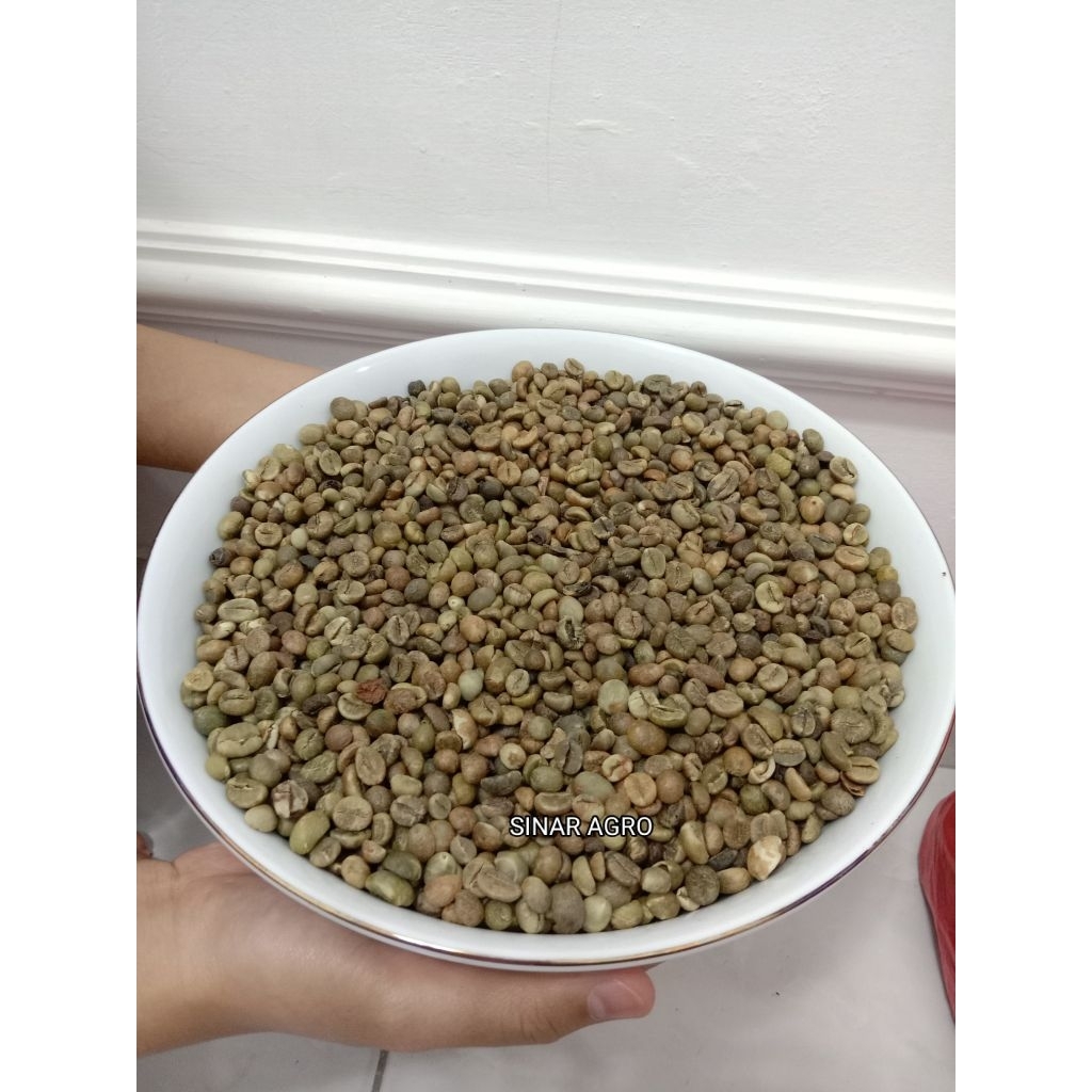 

GREEN BEAN BIJI KOPI MENTAH ROBUSTA LAMPUNG 1Kg