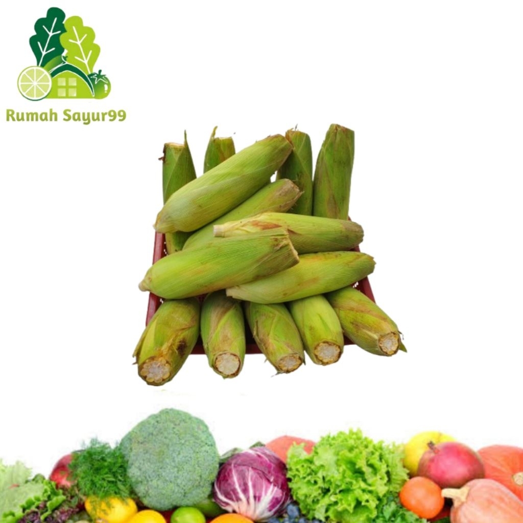 

Jagung madu jagung manis madu perbuah