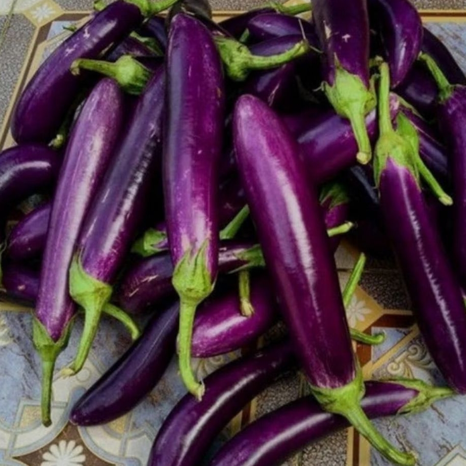 

Terong ungu panjang fress 500 gr