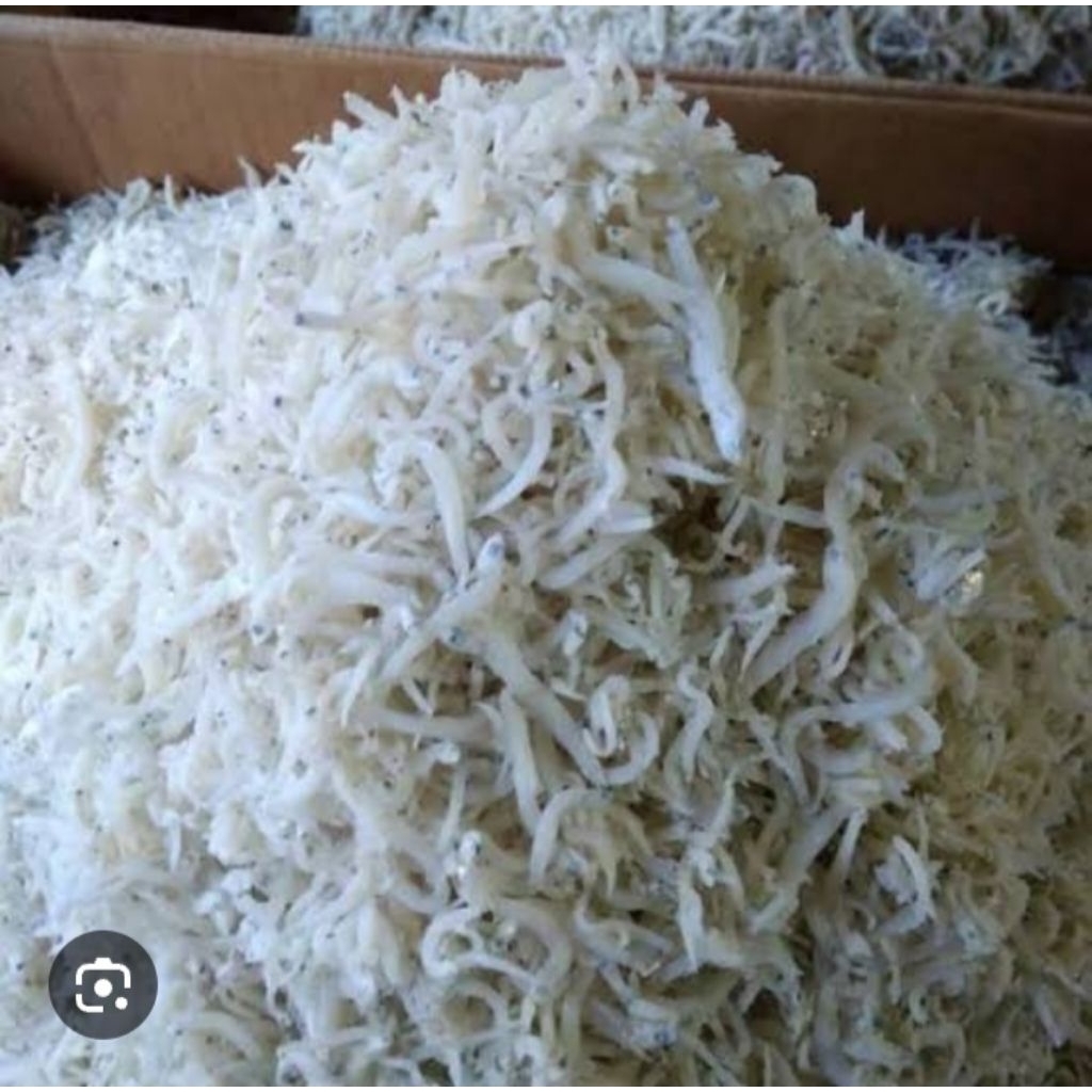 

1 bngks ikan asin teri medan