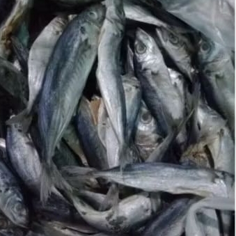 

Ikan Klotok Kering primium Ukuran Sedang Gurih Enak Tahan Lama