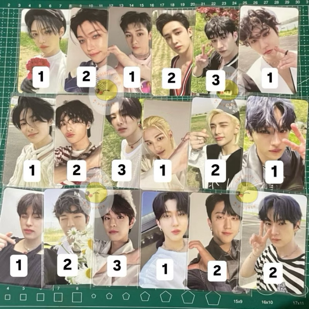 STRAY KIDS SKZ PHOTOCARD MAXIDENT T-CRUSH GO VER PC BANGCHAN CHANGBIN LEE KNOW LINO HYUNJIN FELIX HA