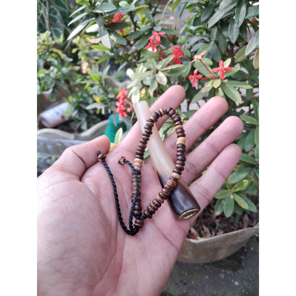 1set gelang batok kelapa dan juga once tanduk kerbau size 7-8cm putih/bule