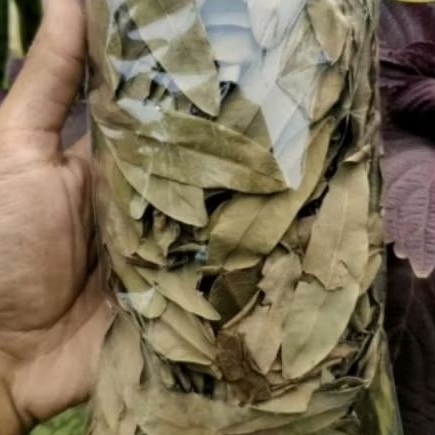 

Daun johar kering, daun herbal kaya manfaat, untuk malaria, gatal gatal, dll per 250 gram