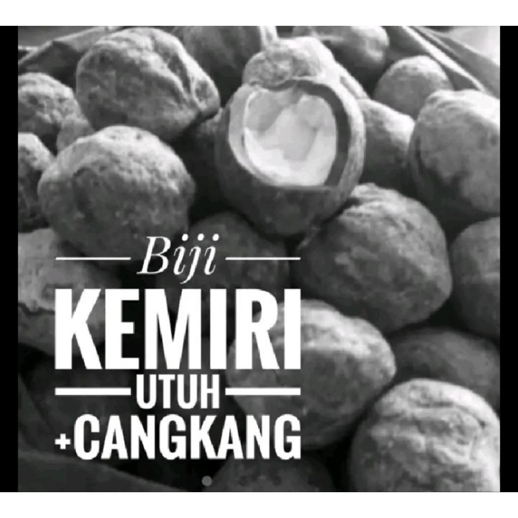 

KEMIRI UTUH ADA CANGKANG AWET BERBULAN BULAN REMPAH ASLI PETANI BIMA