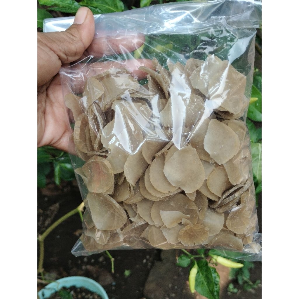 

KERUPUK PULI ENAK GURIH