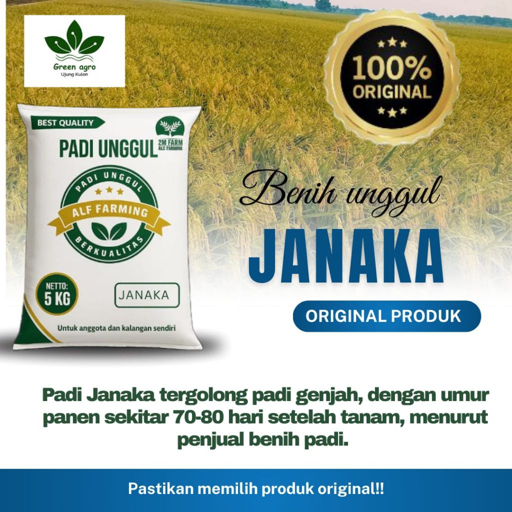 BIBIT PADI UNGGUL JANAKA