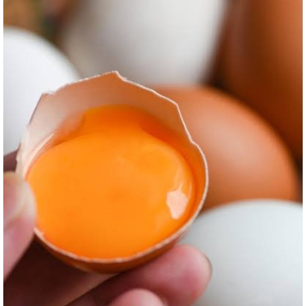 

Telur ayam Omega 3 . 1 Kg 16 Butir