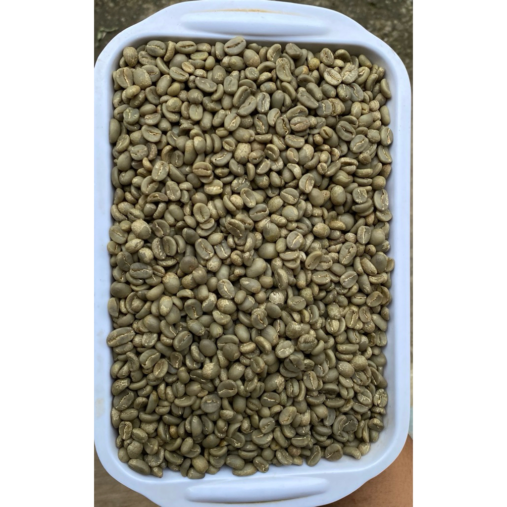 GREEN BEAN ARABICA KERINCI - FULLWASH