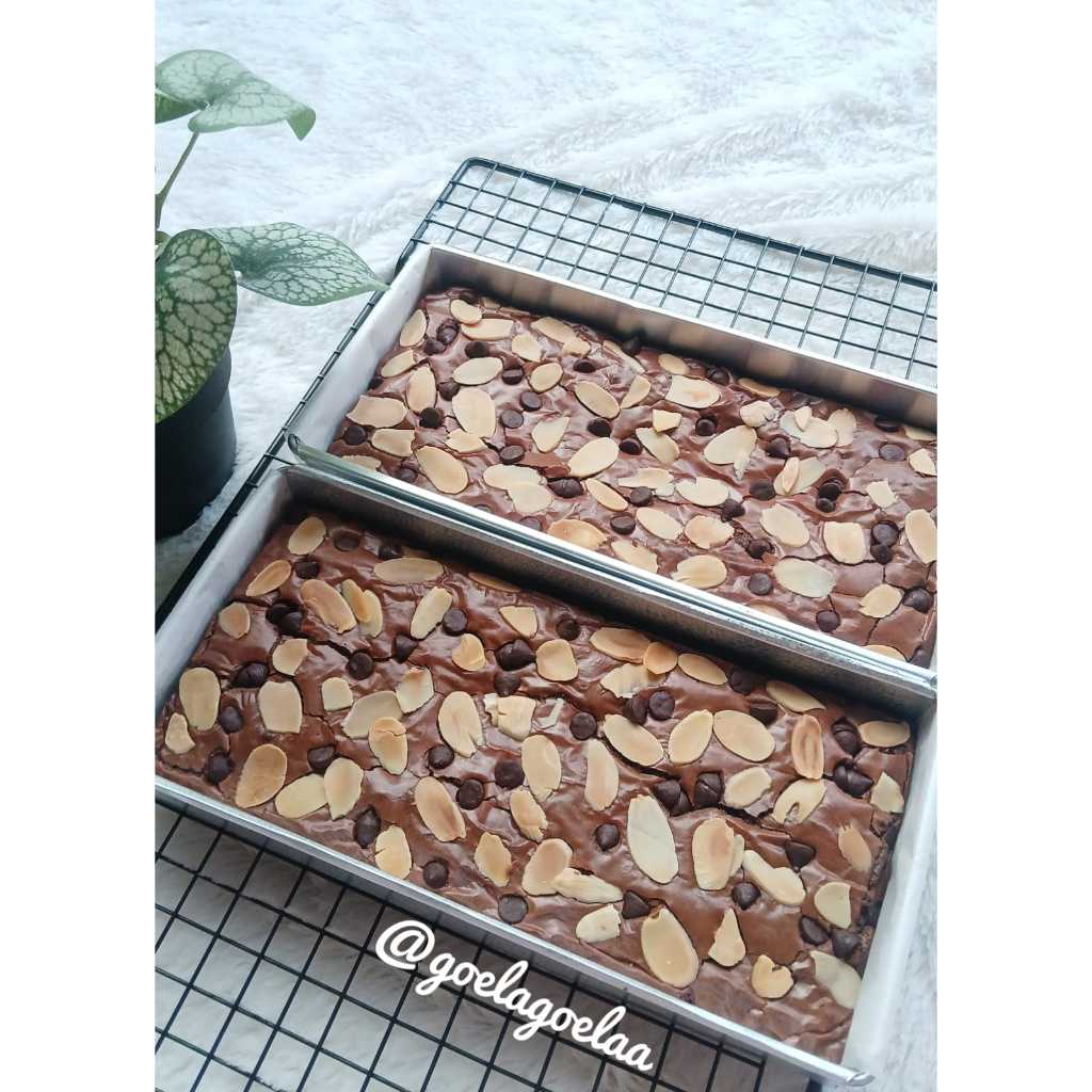 

Fudgy Brownies Ukuran 22x10cm