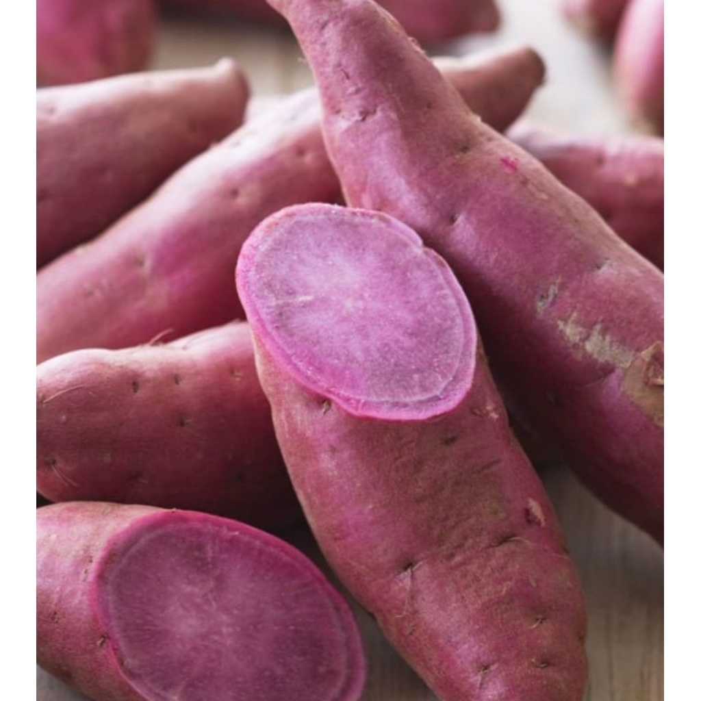 

Termurah UBI UNGU pulen fresh mentah 1kg (COD)