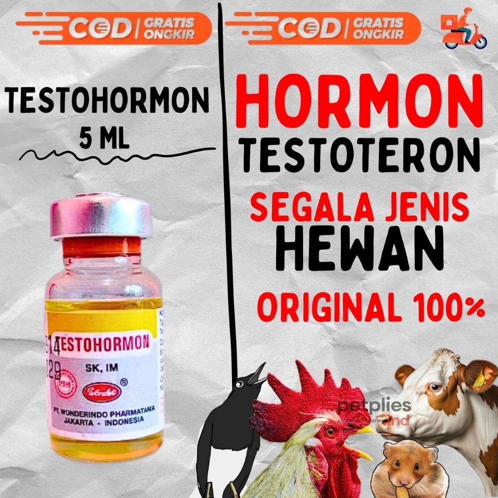 TESTOHORMON 5 ML WONDER - untuk Memperbaiki Fungsi Reproduksi Pada Ternak hormon tingkatan reproduks