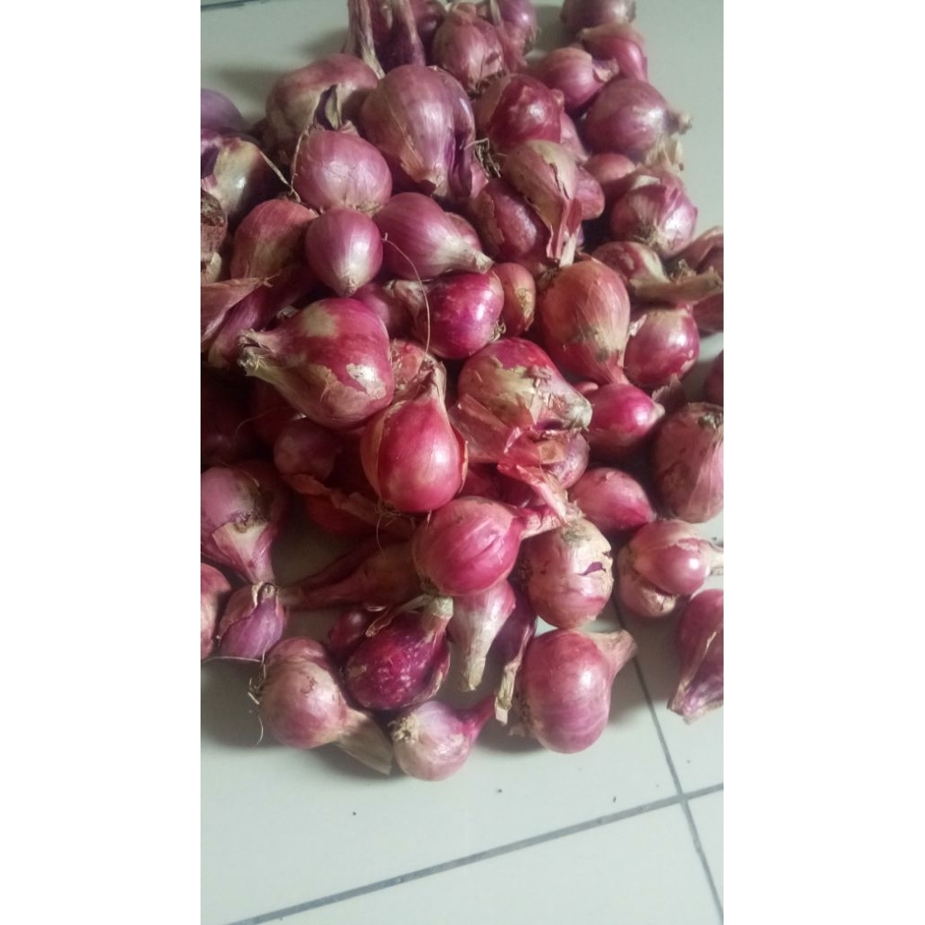 

bawang merah kuwalitas bagus