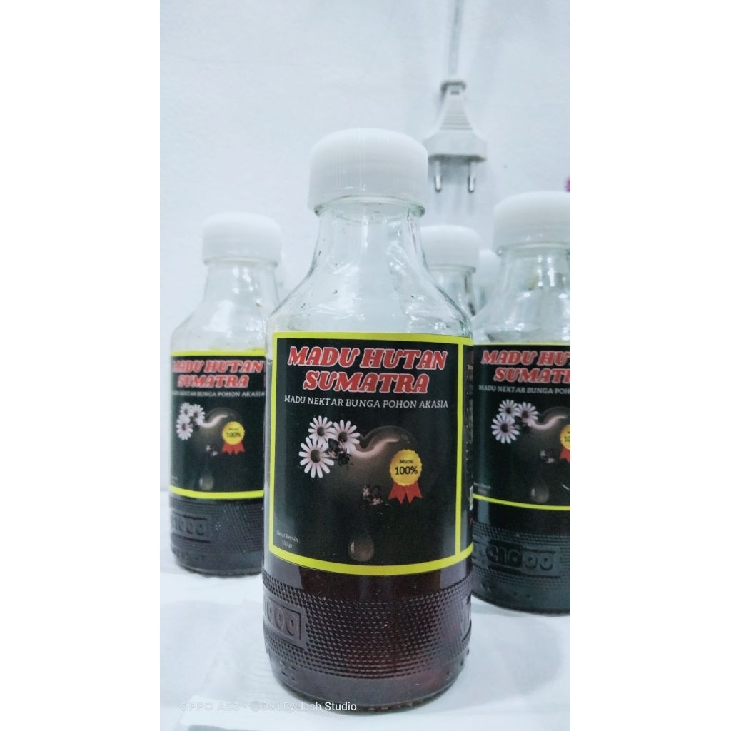 

Madu hutan sumatra