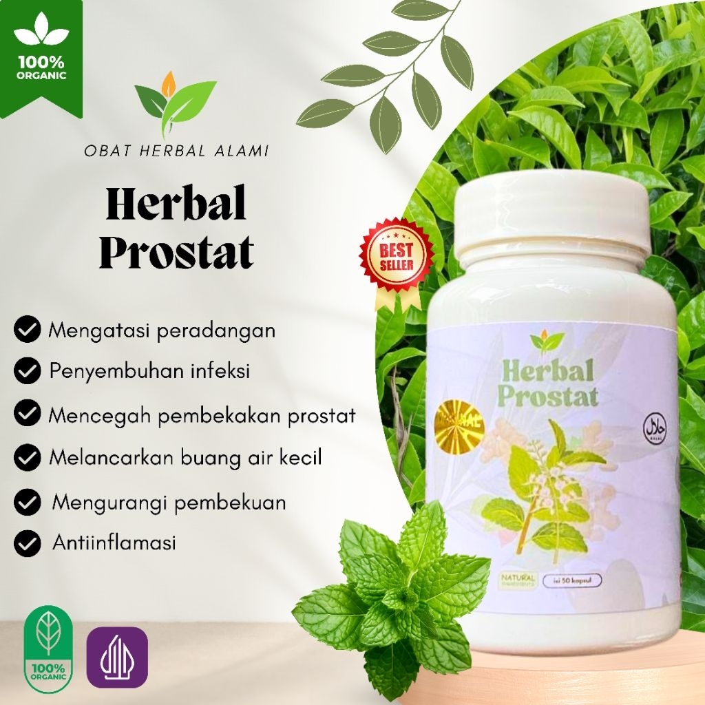 

obat herbal khusus PROSTAT,sehat prostat