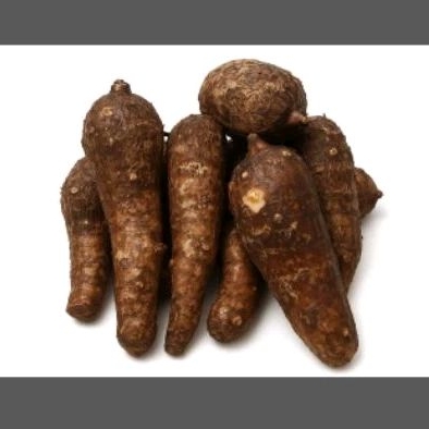 

Belitung/Kimpul Talas