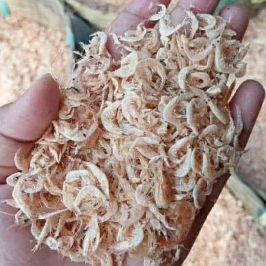 

Ikan rebon asin kring fresh