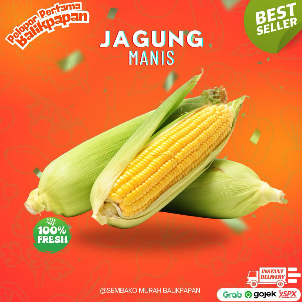 

jagung manis perbuah
