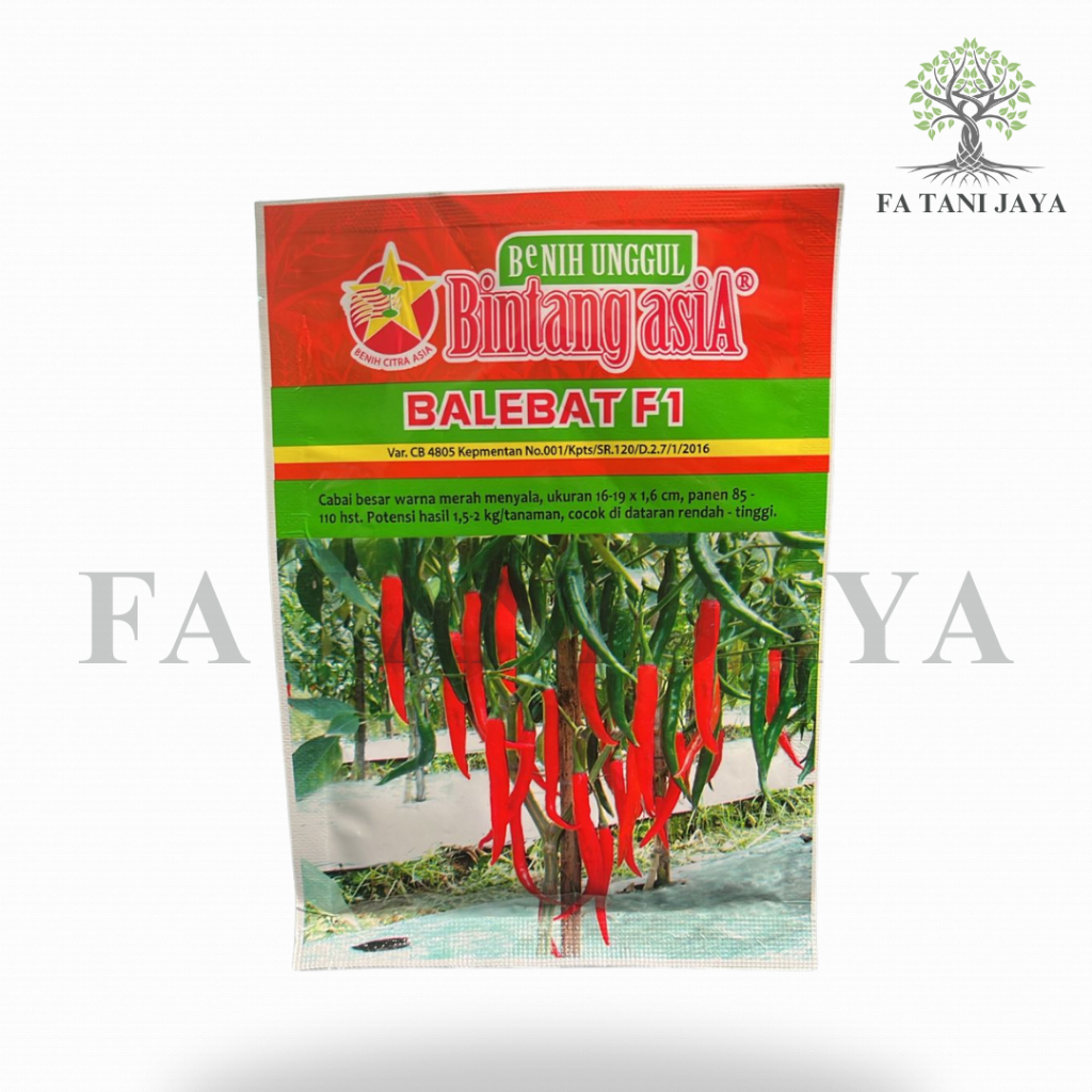 Benih Cabai Besar Balebat F1 Bintang Asia 10 gram (exp 09 2026)