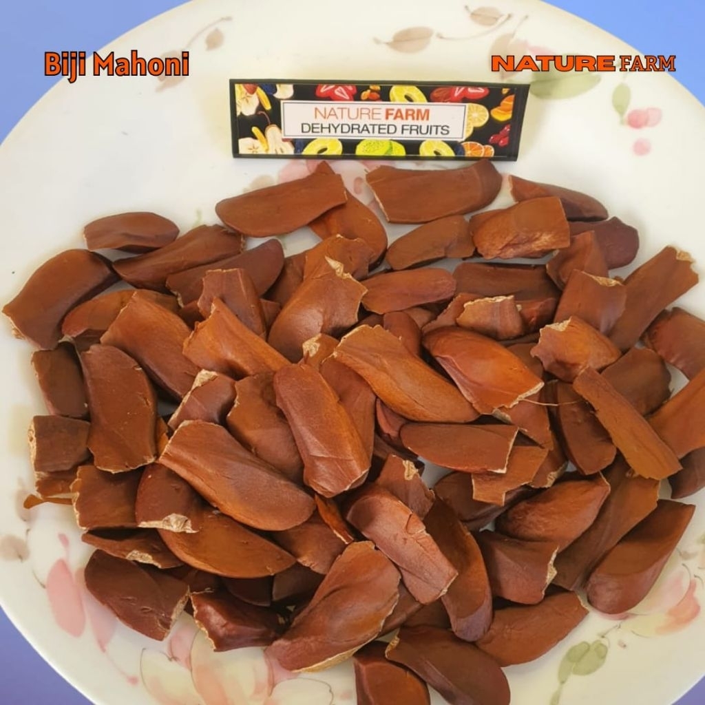 

Nature Farm Premium Biji Mahoni Kering - Mahogany Seed 50gr 100gr 250gr 500gr