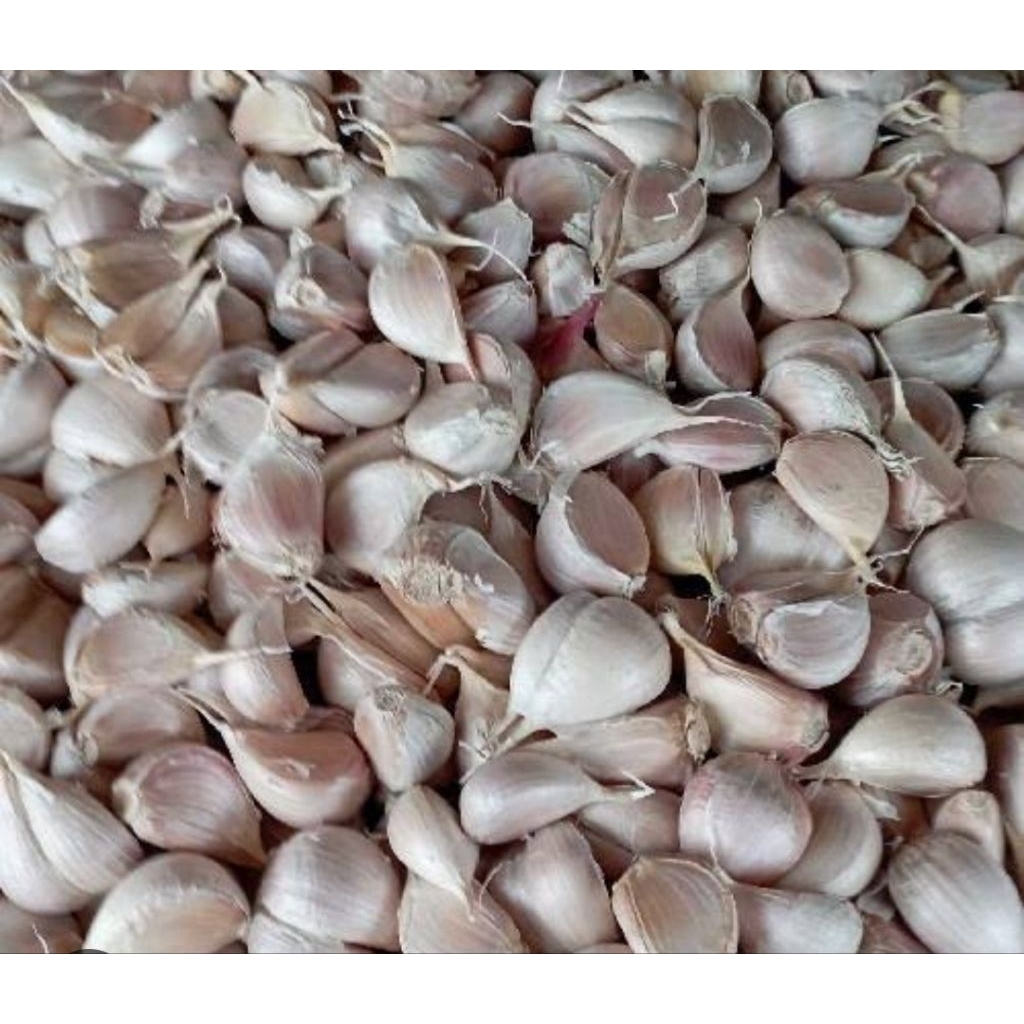 

Bawang putih kating Premium 1/2kg (500g) Fresh