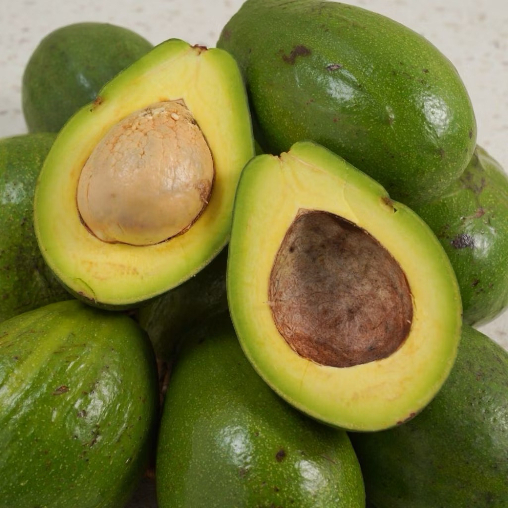 

Alpukat Mentega Super | Alpukat Mentega Pulen 1kg