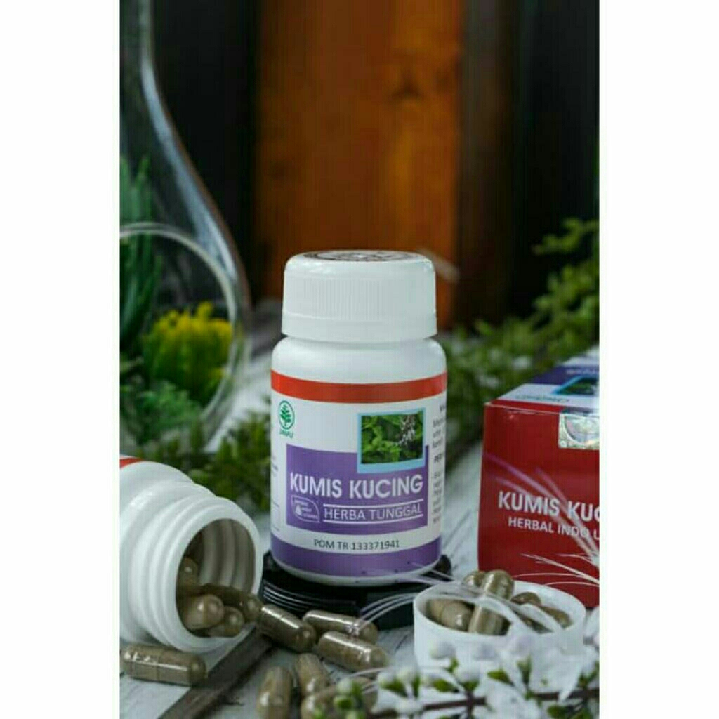 Kapsul Herbal Kumis Kucing/infeksi kemih/kencing batu/asam urat