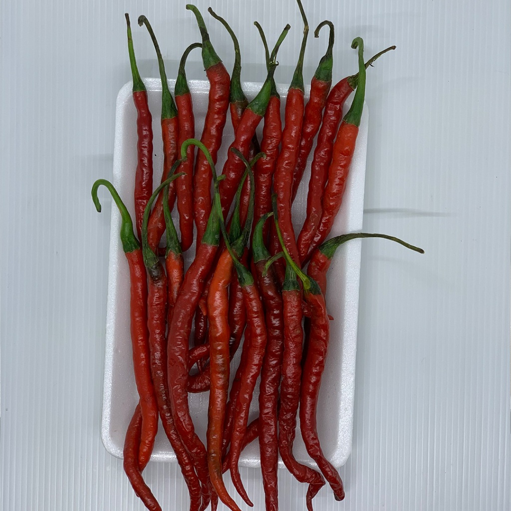 Cabe Merah Keriting 100gr | Cabe Keriting Segar Pedas | Bumbu Dapur Fresh Tani Kita Lembang