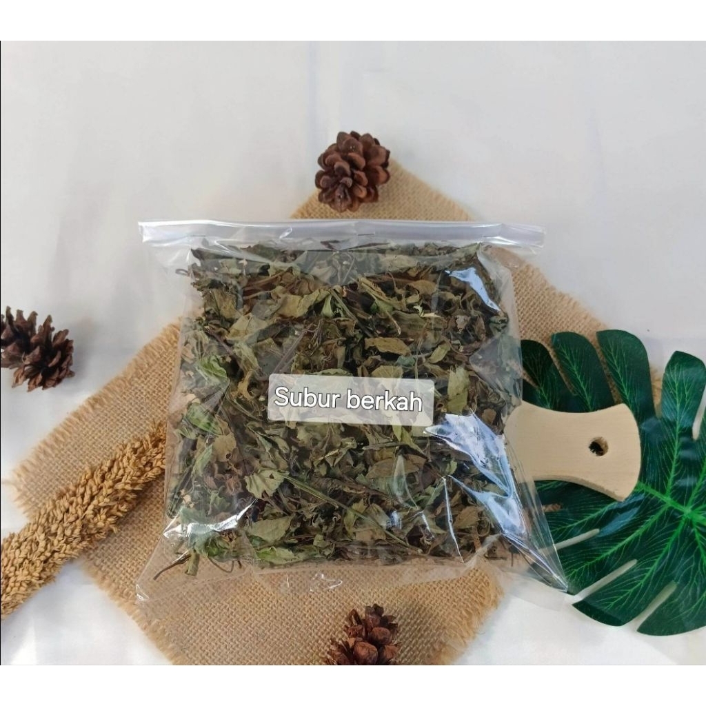 

Daun kumis kucing kering murah berkualitas 70 gram