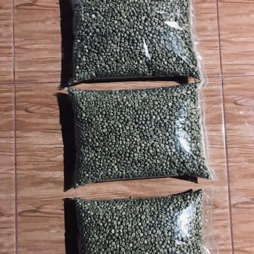 

GONGCOFFE-Greenbeans Grade 1 ROBUSTA BANJARNEGARA kopi ORGANIK