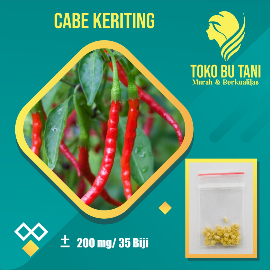 BTN Bibit Cabe Merah Keriting Benih Cabe Merah Keriting Sayuran Cabai Unggul Bibit Sayuran Berkualit