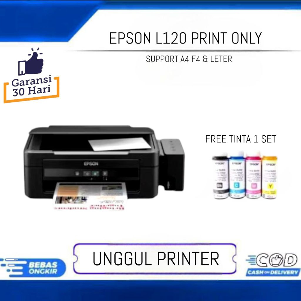 printer Epson L120 print only